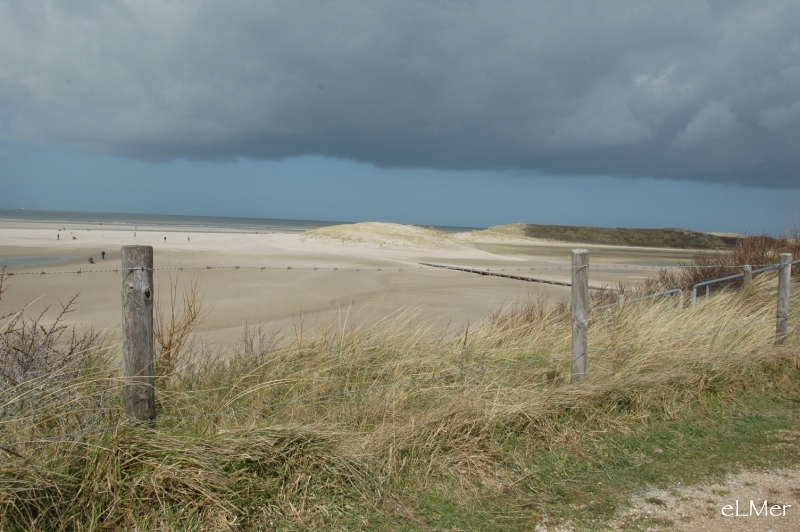 Dune sous la menace