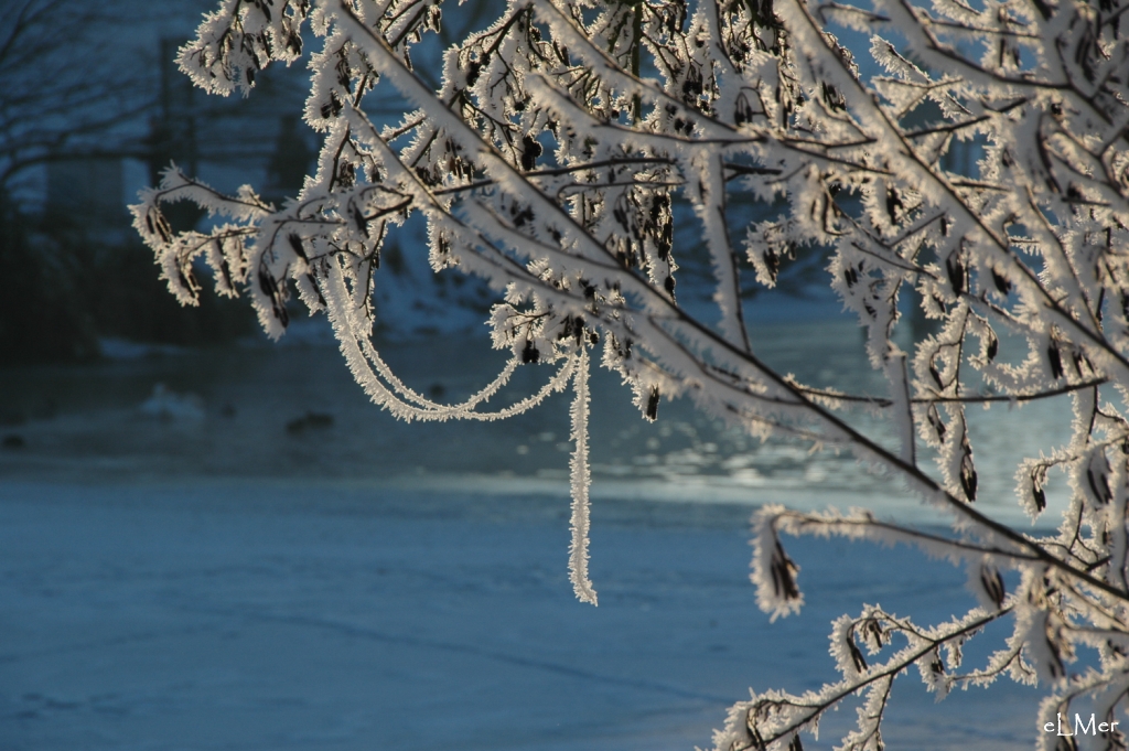 Courbes naturelles