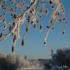 Louvain-la-blanche en robe Neuve