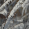 Givre fragile